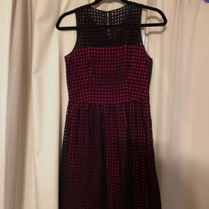 Navy over Red Eyelet Dress